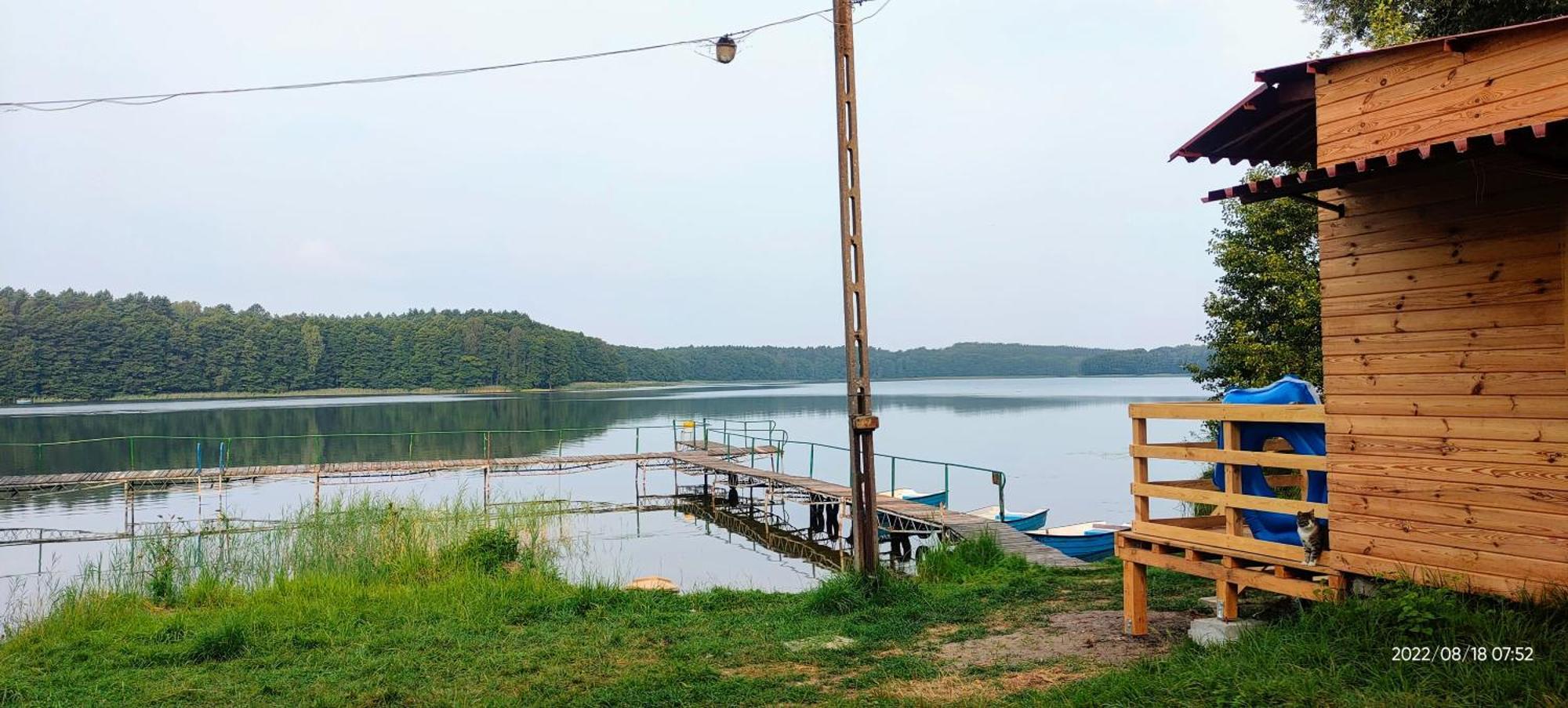 Zdbice Domki Nad Jeziorem I Pod Lasem 빌라 외부 사진